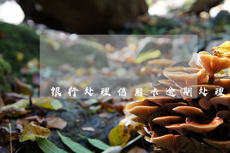 银行处理信用卡逾期处理程序