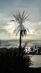 银行处理贷款逾期天数 银行处理贷款逾期天数