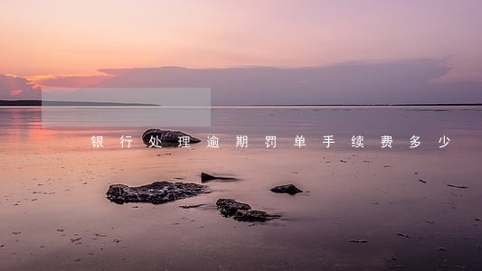 银行处理逾期罚单手续费多少