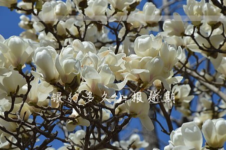 银行多久上报逾期 银行多久上报逾期