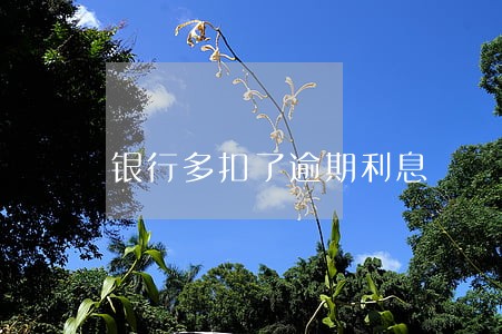 银行多扣了逾期利息 银行多扣了逾期利息