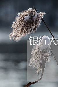 银行大数据显示有网贷逾期
