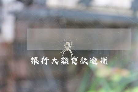 银行大额贷款逾期