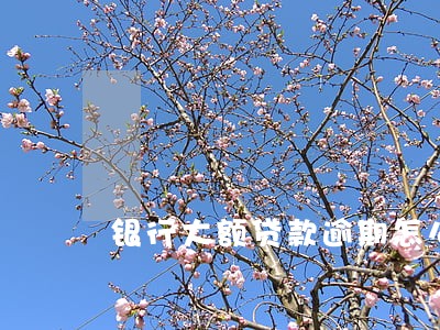 银行大额贷款逾期怎么办 银行大额贷款逾期怎么办