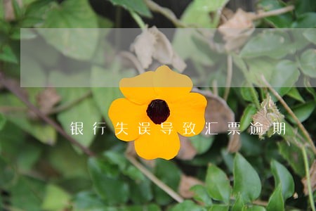 银行失误导致汇票逾期 银行失误导致汇票逾期