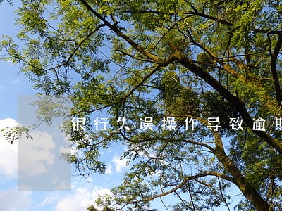 银行失误操作导致逾期 银行失误操作导致逾期