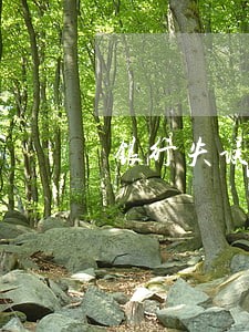 银行失误造成征信逾期怎么赔偿 银行失误造成征信逾期怎么赔偿