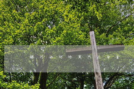 银行如何协商只还本金 银行如何协商只还本金