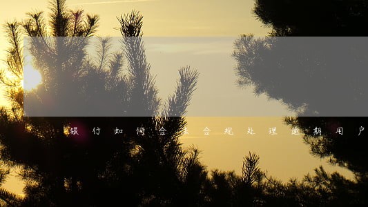 银行如何合法合规处理逾期用户 银行如何合法合规处理逾期用户