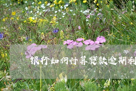 银行如何计算贷款逾期利息 银行如何计算贷款逾期利息