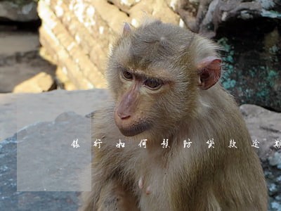 银行如何预防贷款逾期 银行如何预防贷款逾期