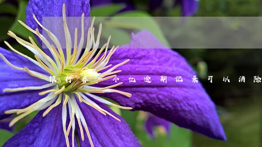 银行存一个亿逾期记录可以消除吗 银行存一个亿逾期记录可以消除吗
