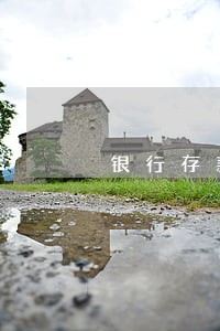 银行存款两百万消除逾期记录