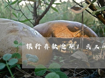 银行存款逾期1天又问题吗 银行存款逾期1天又问题吗