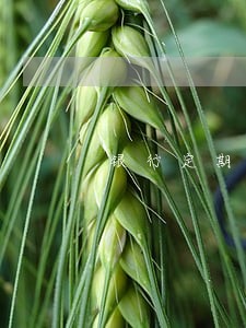 银行定期存款逾期利息是多少 银行定期存款逾期利息是多少