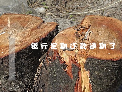 银行定期还款逾期了 银行定期还款逾期了