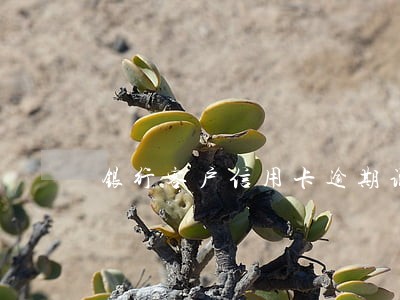 银行客户信用卡逾期说明 银行客户信用卡逾期说明