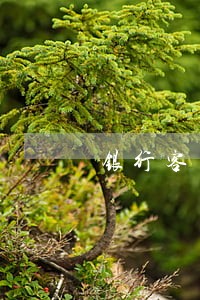银行客户贷款逾期的处置措施 银行客户贷款逾期的处置措施