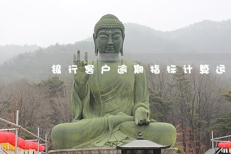 银行客户逾期指标计算运用维度表