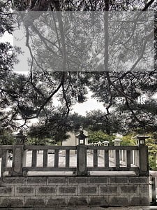 银行客服有权利消除逾期吗 银行客服有权利消除逾期吗