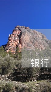 银行客服能查询到有没有逾期吗 银行客服能查询到有没有逾期吗