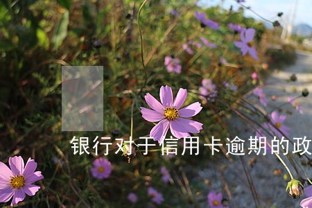 银行对于信用卡逾期的政策 银行对于信用卡逾期的政策