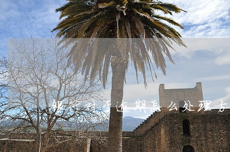 银行对于逾期怎么处理方法 银行对于逾期怎么处理方法