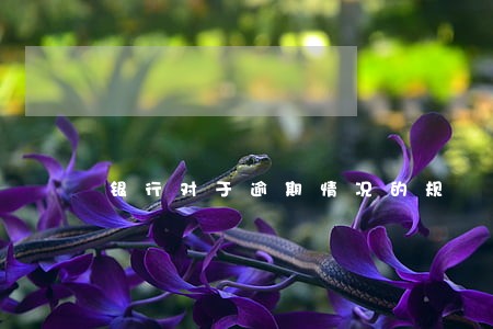 银行对于逾期情况的规 银行对于逾期情况的规