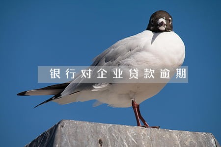 银行对企业贷款逾期 银行对企业贷款逾期