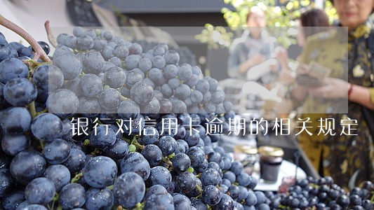 银行对信用卡逾期的相关规定 银行对信用卡逾期的相关规定