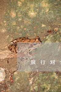 银行对公司贷款逾期处理办法 银行对公司贷款逾期处理办法