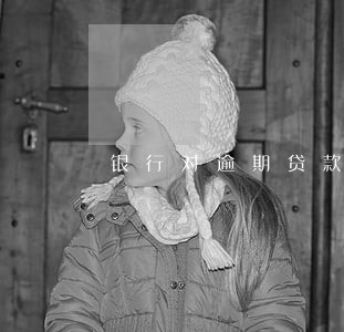 银行对逾期贷款和重组贷款 银行对逾期贷款和重组贷款