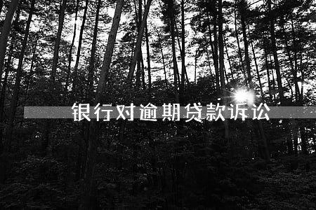 银行对逾期贷款诉讼 银行对逾期贷款诉讼