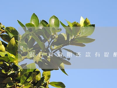 银行对逾期还款有提醒的义务吧