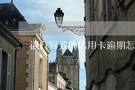 银行导致的信用卡逾期怎么办 银行导致的信用卡逾期怎么办