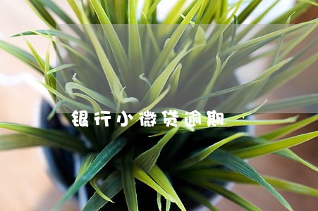 银行小微贷逾期 银行小微贷逾期