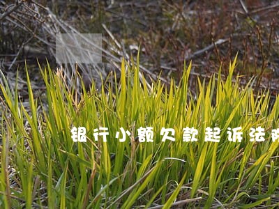 银行小额欠款起诉法院受理吗 银行小额欠款起诉法院受理吗