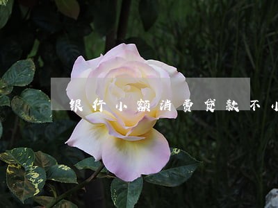 银行小额消费贷款不小心逾期 银行小额消费贷款不小心逾期