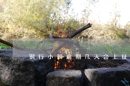 银行小额逾期几天会上征信吗 银行小额逾期几天会上征信吗