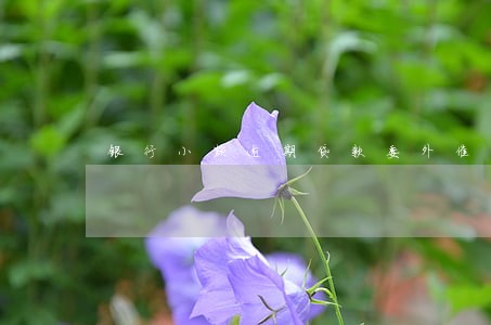 银行小额逾期贷款委外催回率 银行小额逾期贷款委外催回率