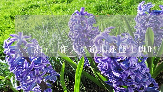 银行工作人员逾期还能上班吗 银行工作人员逾期还能上班吗