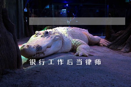 银行工作后当律师 银行工作后当律师