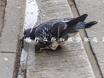 银行已经扣款金融还显示逾期 银行已经扣款金融还显示逾期