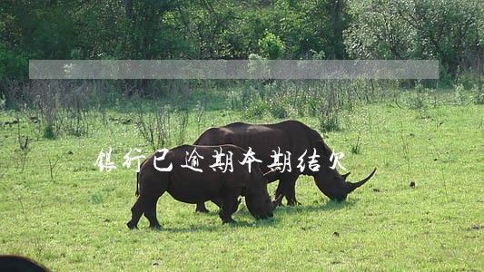 银行已逾期本期结欠