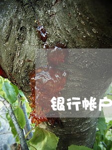 银行帐户逾期的诉讼流程 银行帐户逾期的诉讼流程