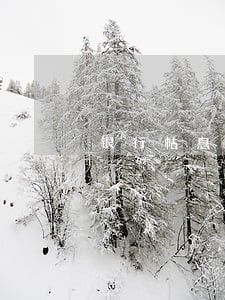 银行帖息贷款逾期就不帖息了嘛 银行帖息贷款逾期就不帖息了嘛