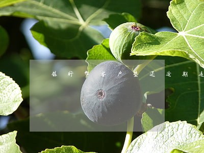 银行帮客户垫还逾期违规么 银行帮客户垫还逾期违规么