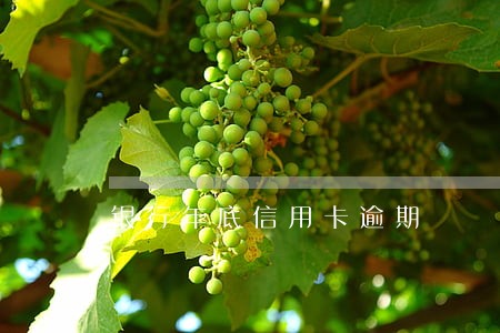 银行年底信用卡逾期 银行年底信用卡逾期