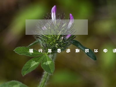 银行年费逾期可以申请贷款吗 银行年费逾期可以申请贷款吗