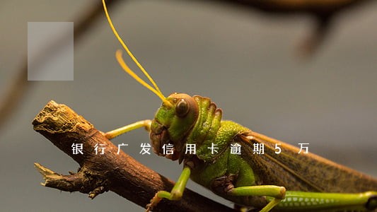 银行广发信用卡逾期5万 银行广发信用卡逾期5万